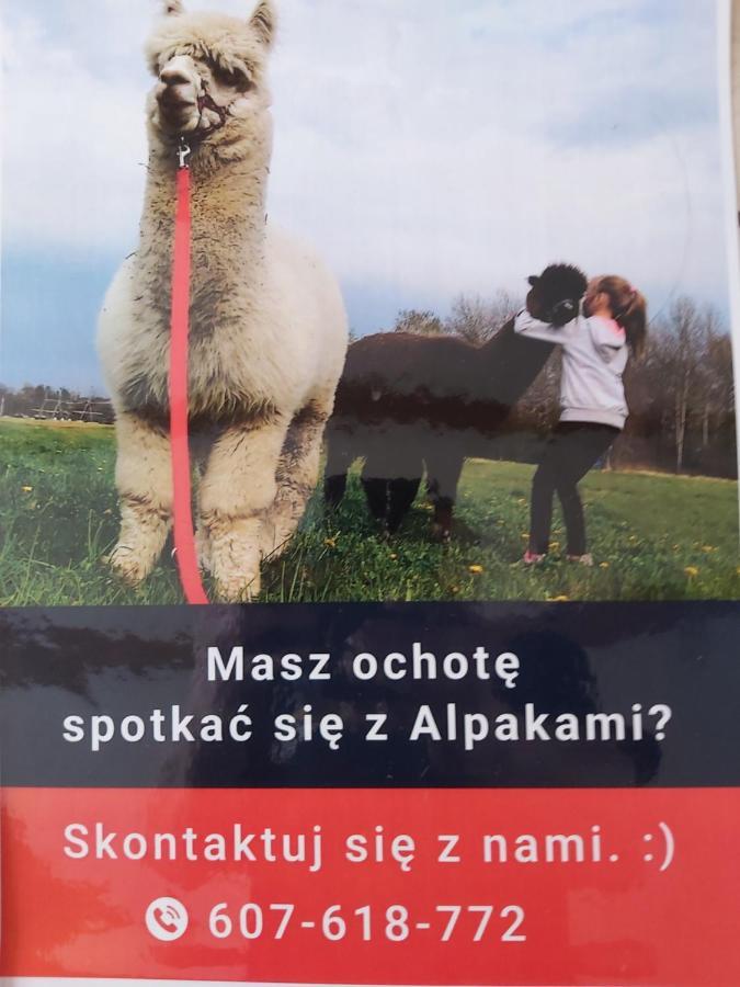 Apartamenty Smaczek Gołdap Kültér fotó